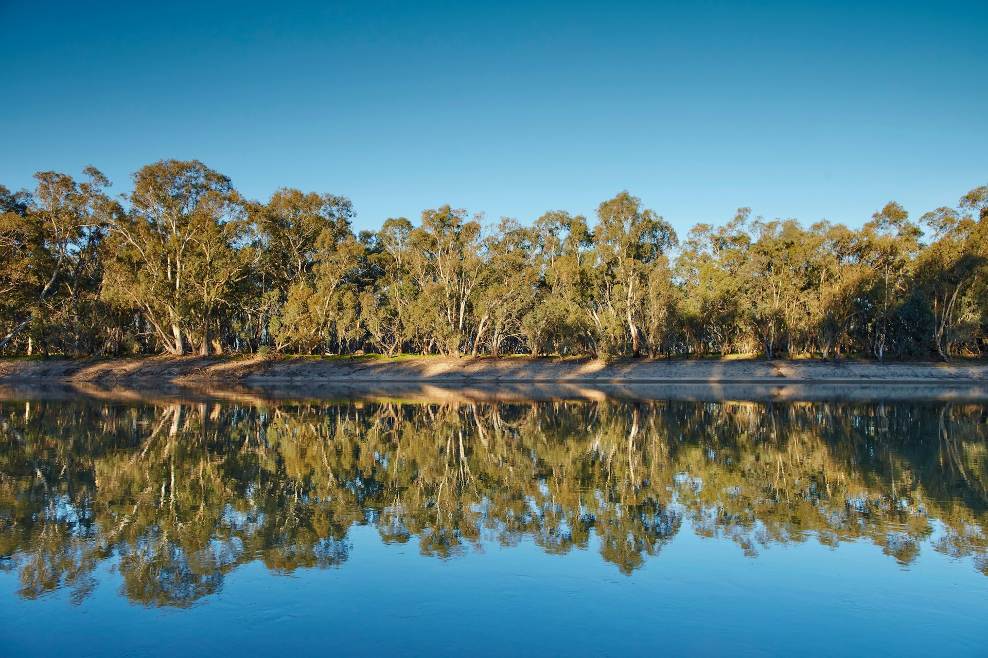 Swan Hill Murrary River Sunset SWH6727